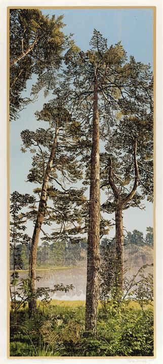 Siemen Dijkstra, Three Trees