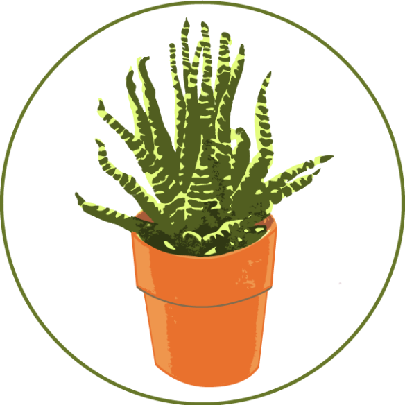 Cactus web export